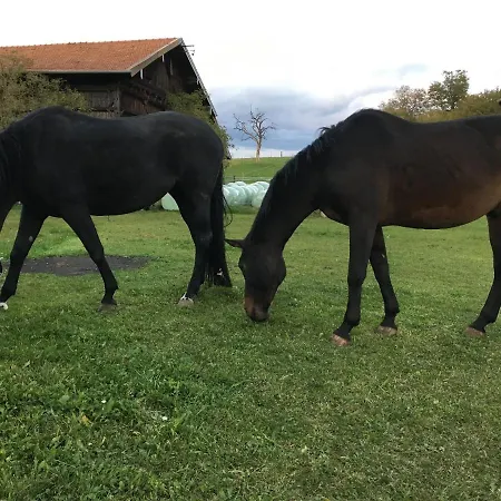 Niedermaierhof *